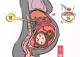 临产的宫缩图图片