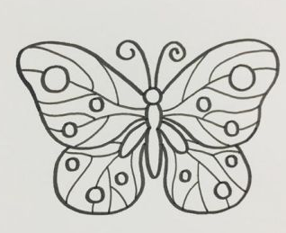 蝴蝶翅膀花纹画法步骤1