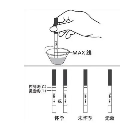 测早孕试纸对照图图片